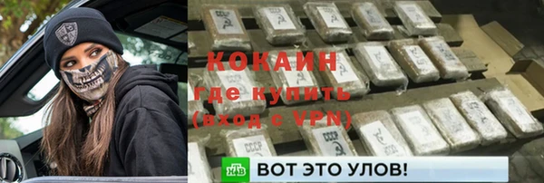 прущие грибы Краснотурьинск
