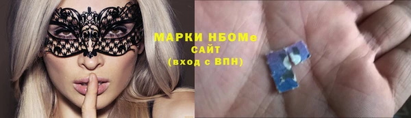 прущие грибы Краснотурьинск