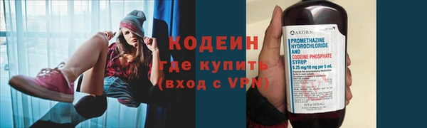 прущие грибы Краснотурьинск