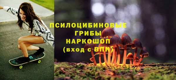 прущие грибы Краснотурьинск