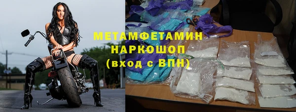 прущие грибы Краснотурьинск
