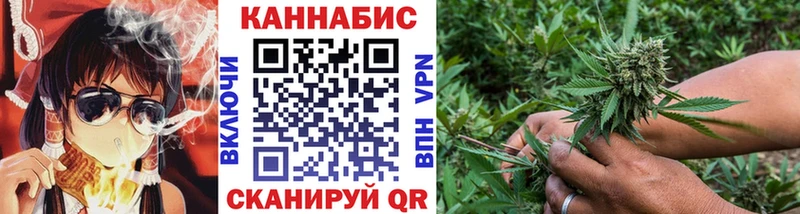 Конопля White Widow  Купить где  Вяземский 